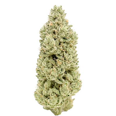 Lemon Haze – 26.7% THCA Flower