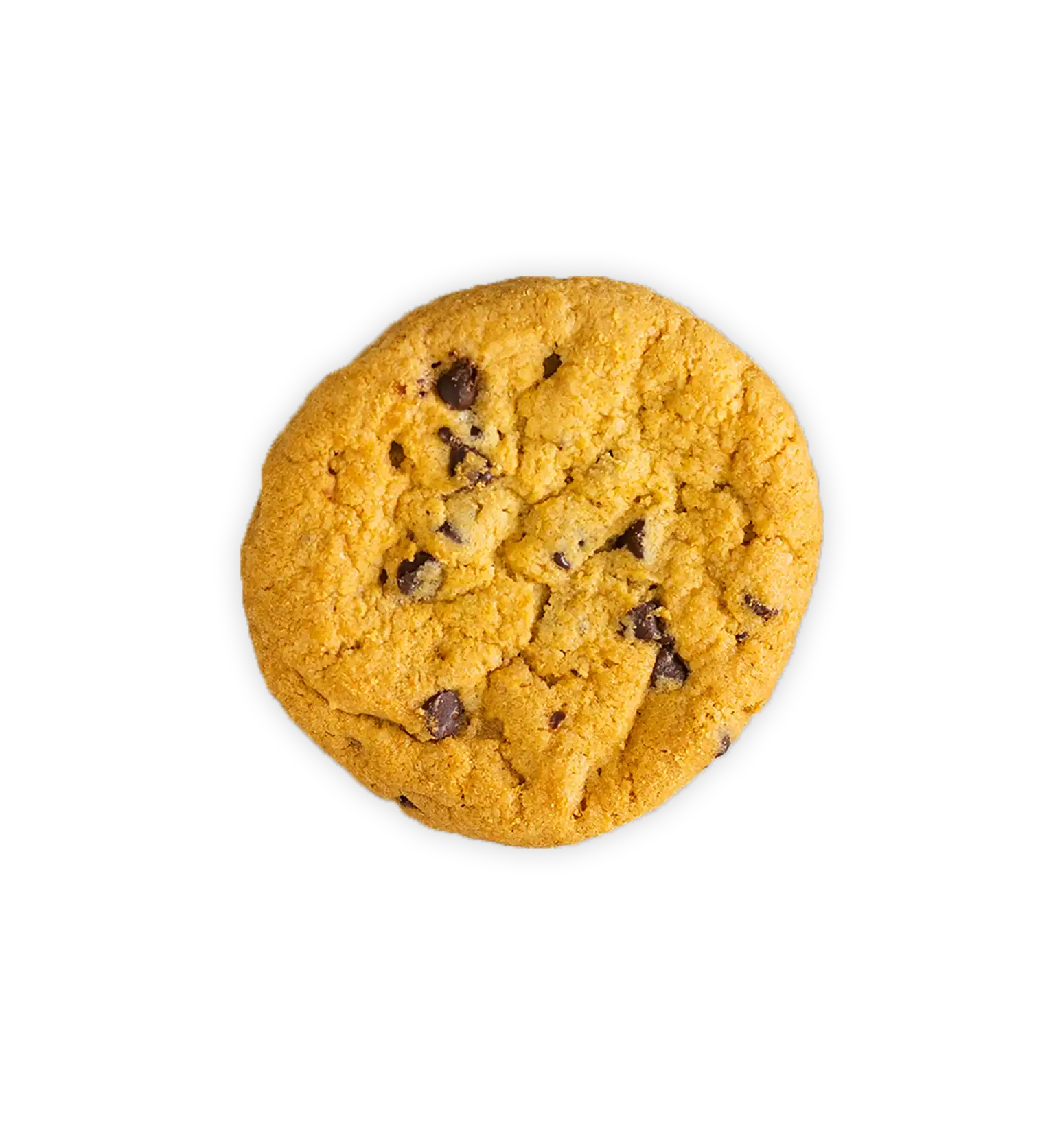 100mg Delta 9 THC Chocolate Chip Cookie